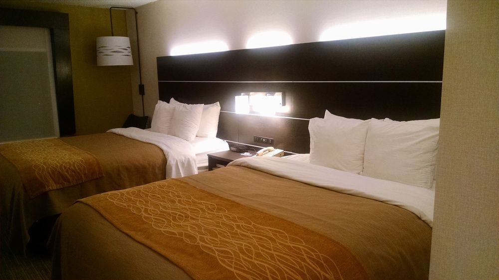 Holiday Inn Express & Suites - Albany Airport - Wolf Road By Ihg Exteriér fotografie